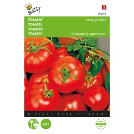 Buzzy® Tomato Moneymaker