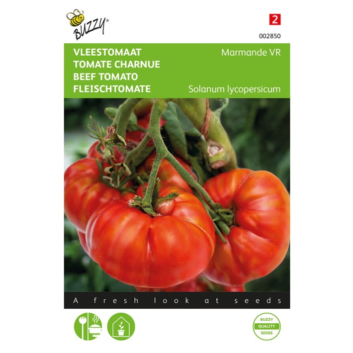 Buzzy® Beef Tomato Marmande VR
