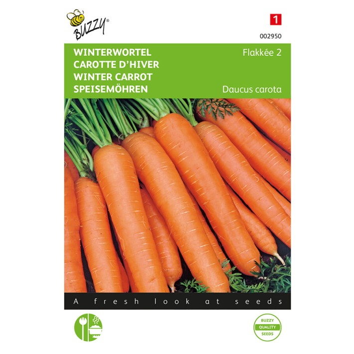 Buzzy® Carrot Autumn King 2