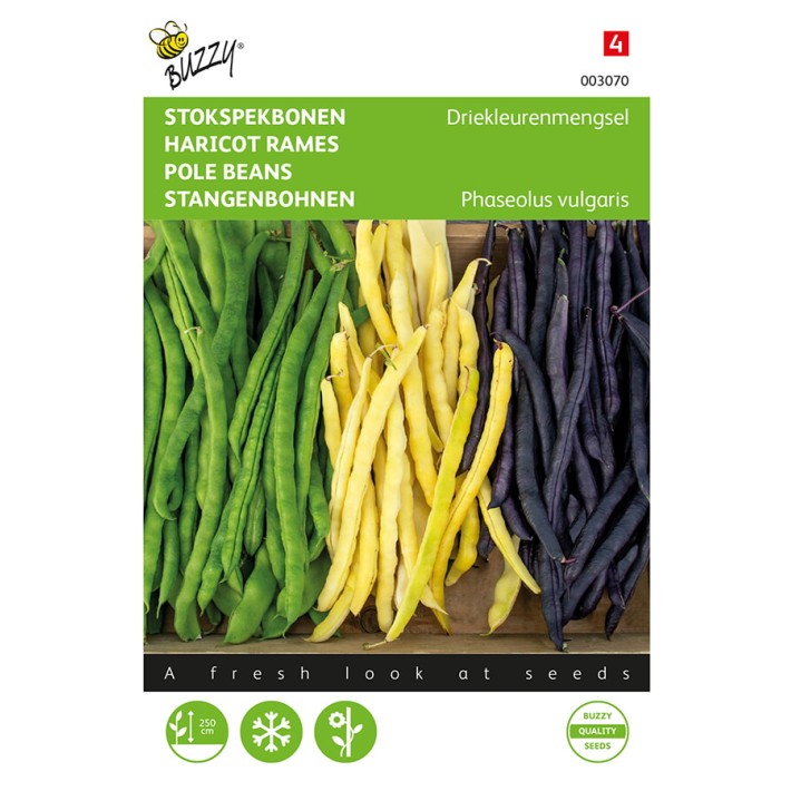 Buzzy® Pole Peans 3 colored Mix