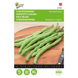 Buzzy® Pole Beans Type Neckarkoningin
