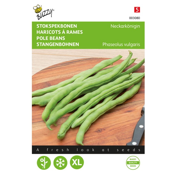 Buzzy® Pole Beans Type Neckarkoningin