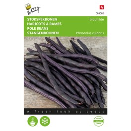 Buzzy® Pole beans Blauhilde