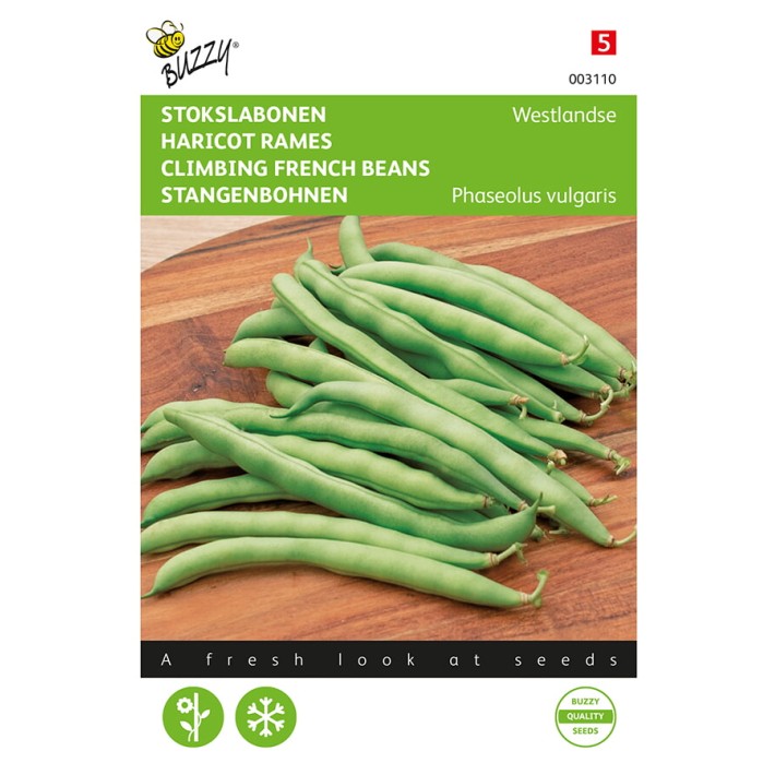 Buzzy® Pole Beans Westland