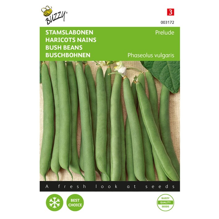 Buzzy® Dwarf French Beans Prelude