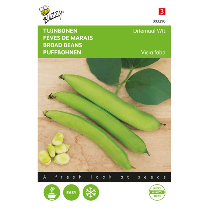 Buzzy® Broad beans Threefold White