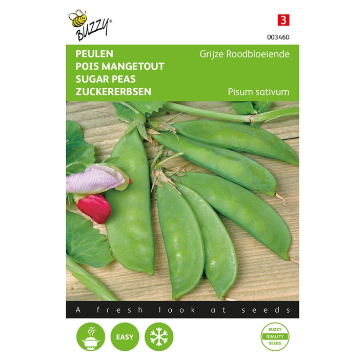 Buzzy® Sugar peas Grey redflowering