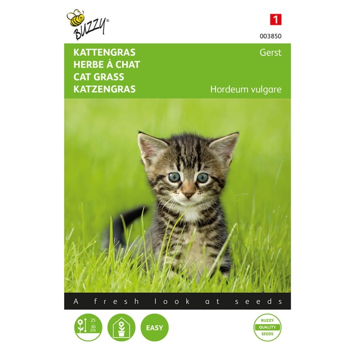 Buzzy® Cat Grass Barley
