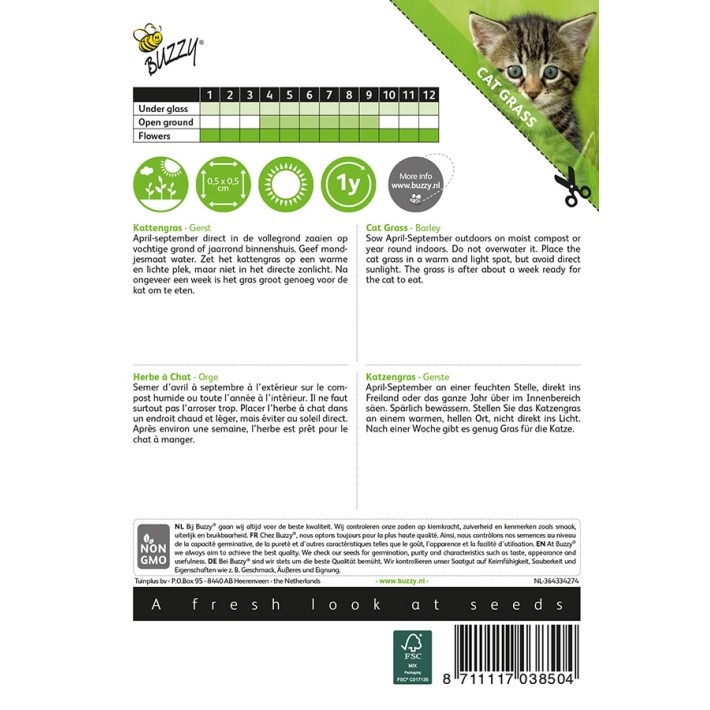 Buzzy® Cat Grass Barley