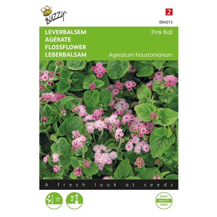 Ageratum, leverbalsem Pink Ball