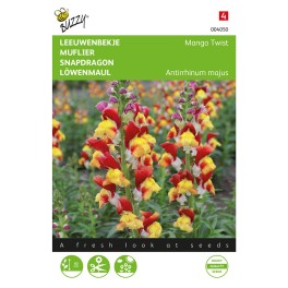 Antirrhinum, Leeuwenbekje Mango Twist