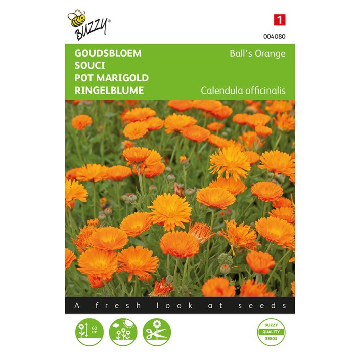 Buzzy® Pot marigold Ball’s Orange, double