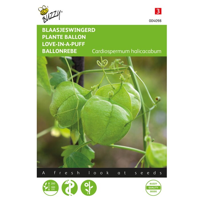 Cardiospermum, Blaasjeswingerd