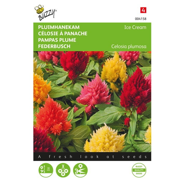 Celosia, Pluimhanekam Ice Cream gemengd