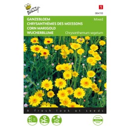 Chrysanthemum, Ganzebloem gele tinten gemengd