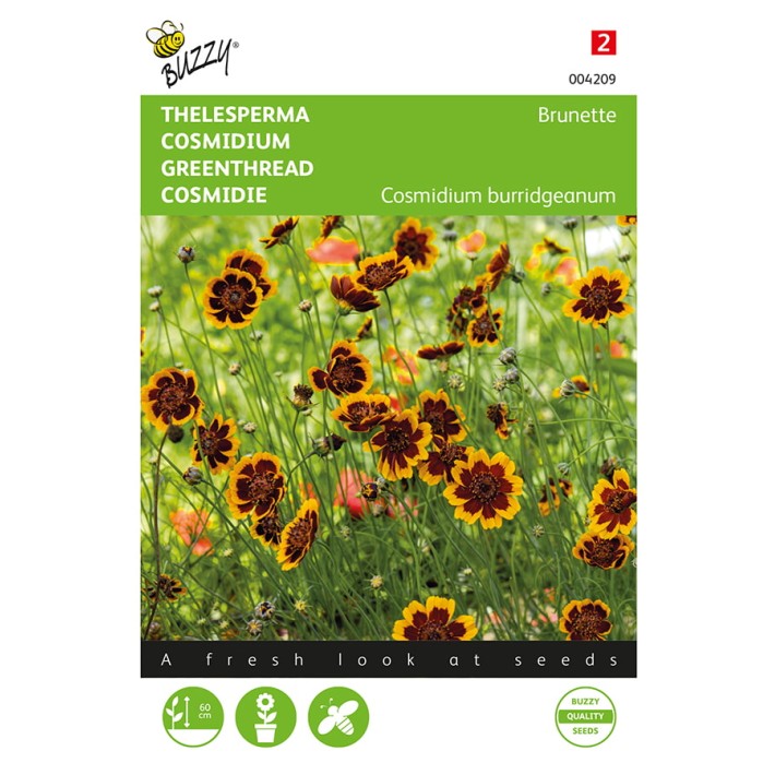 Cosmidium, Thelesperma Brunette