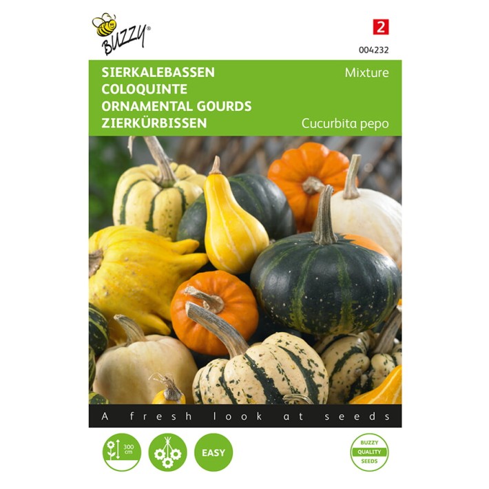 Buzzy® Cucurbita, Small And Large Fruited Var.