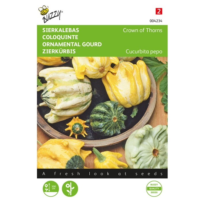Buzzy® Ornamental gourd Crown of Thorns