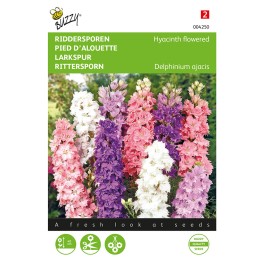 Delphinium, Ridderspoor Hyacinthbloemig, gemengd