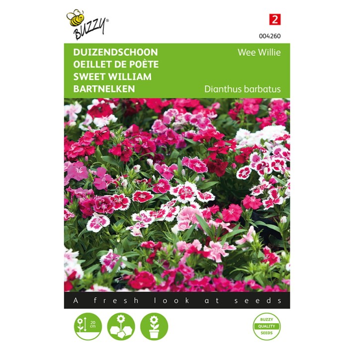 Dianthus, Duizendschoon Wee Willie gemengd