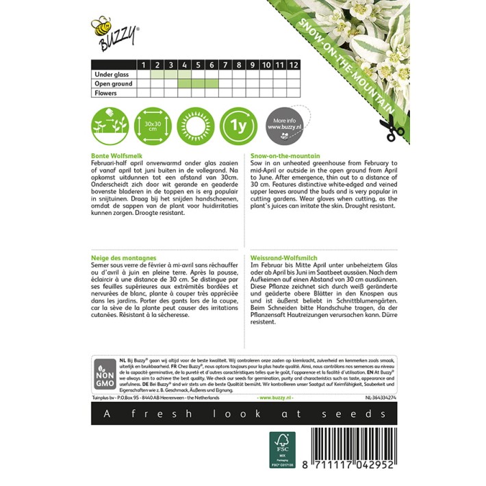 Euphorbia, Bonte Wolfsmelk