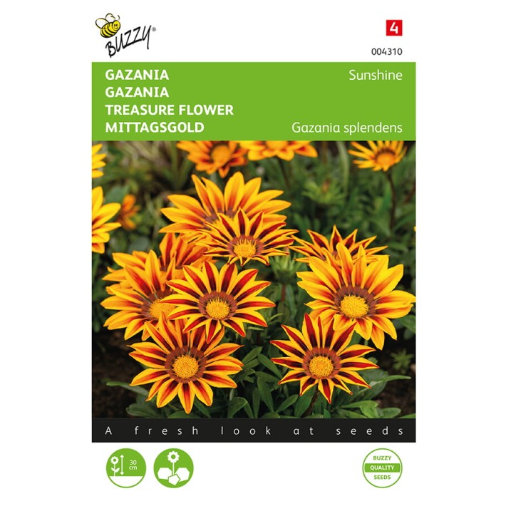 Gazania Sunshine gemengd