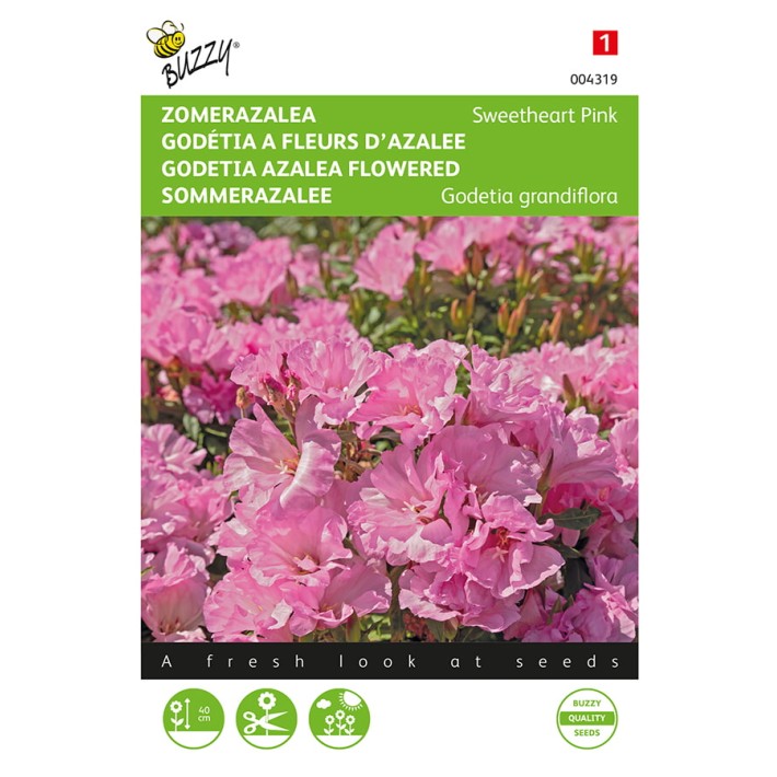 Godetia, Zomer Azalea Sweetheart Pink