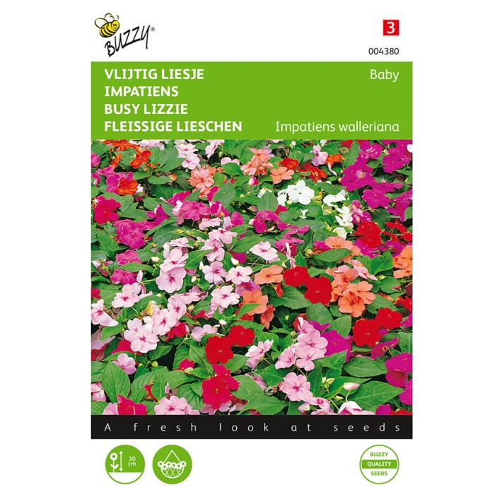 Impatiens, Vlijtig Liesje Baby gemengd