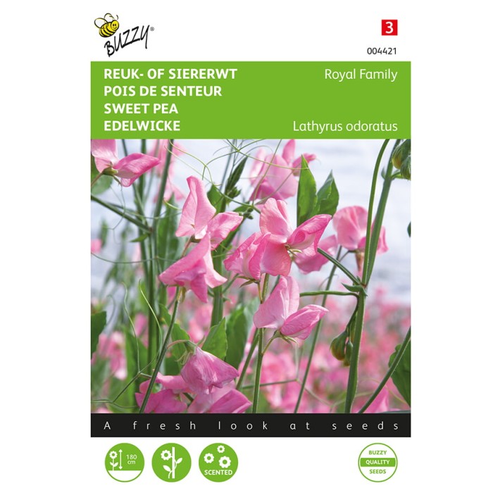 Buzzy® Sweet pea Royal Scarlet, pink