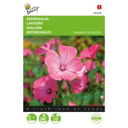 Lavatera, Bekermalva Roze/Rood