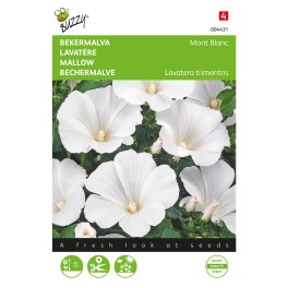 Lavatera, Bekermalva Mont Blanc