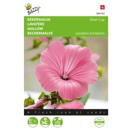 Lavatera, Bekermalva Silver Cup