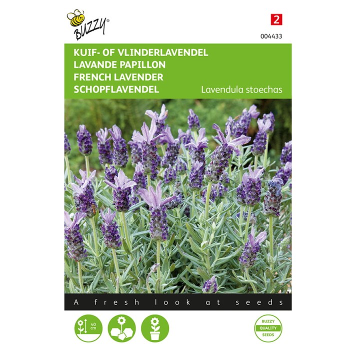 Lavandula, Kuif- of Vlinderlavendel