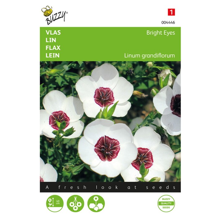 Linum, Vlas Bright Eyes