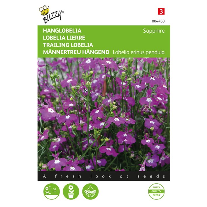 Buzzy® Trailing Lobelia Sapphire