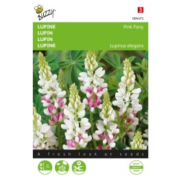 Lupinus, Lupine Pink Fairy