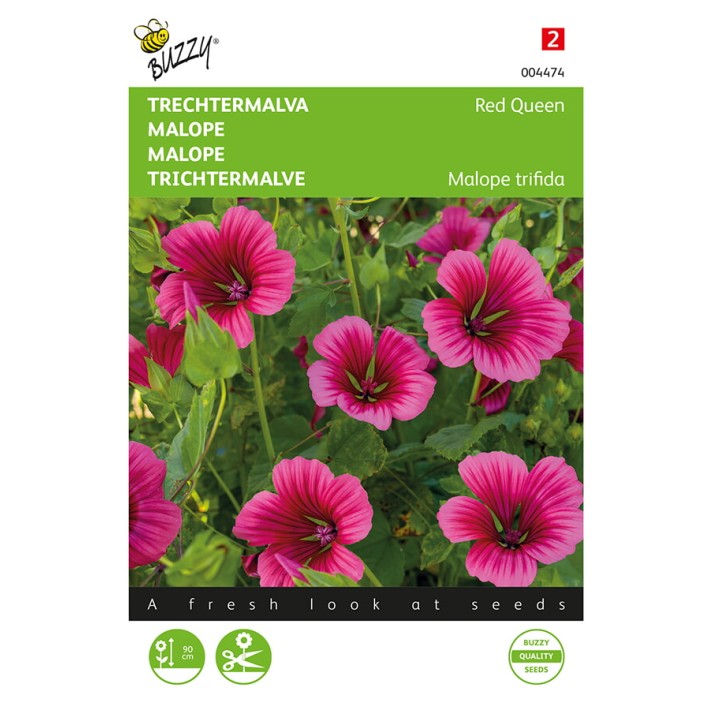 Buzzy® Malope Red Queen