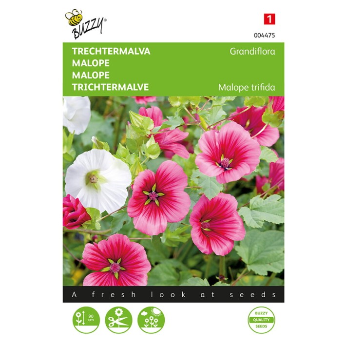 Buzzy® Malope Grandiflora, mixed