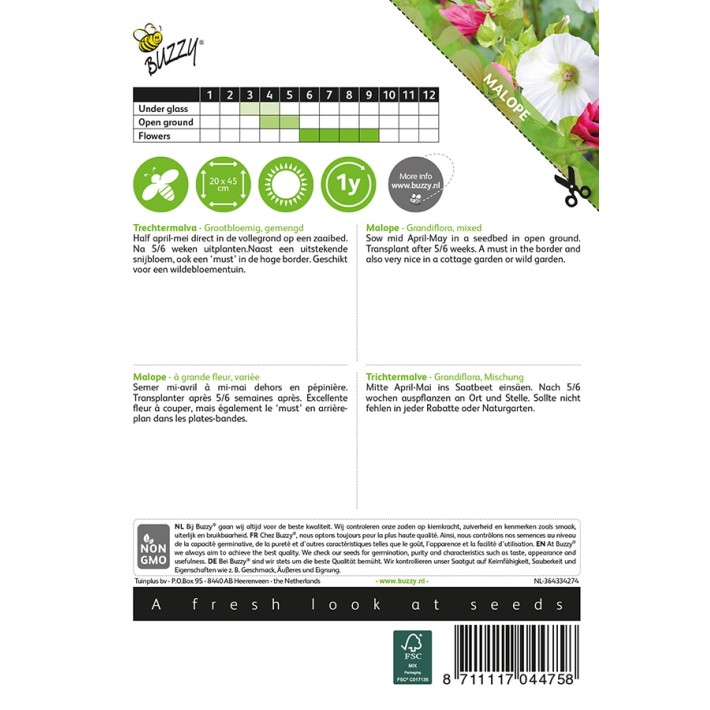 Buzzy® Malope Grandiflora, mixed