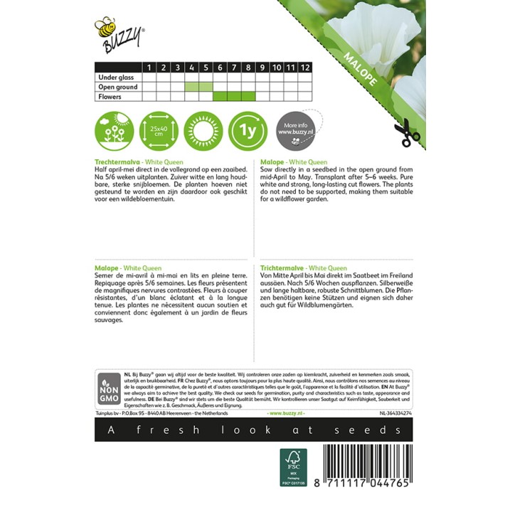 Buzzy® Malope White Queen