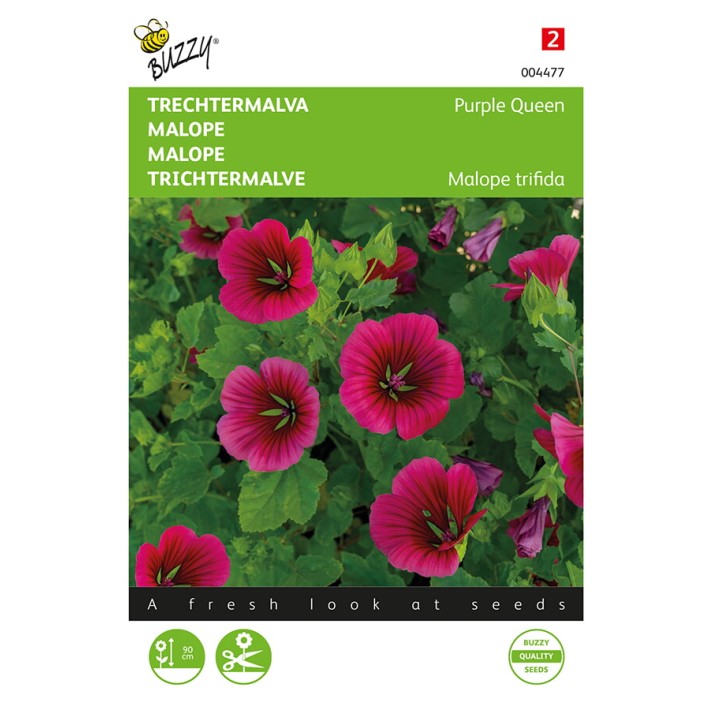 Buzzy® Malope Purple Queen