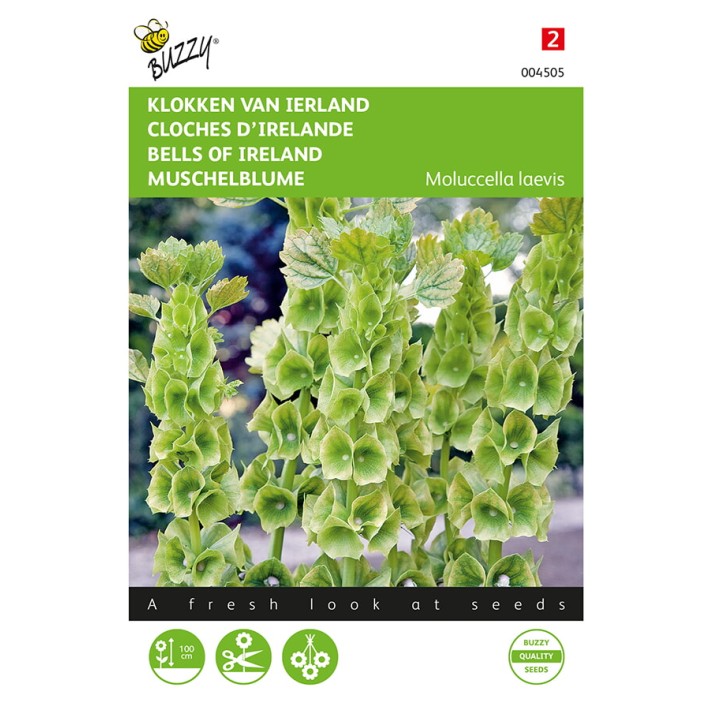 Molucella, Klokken van Ierland