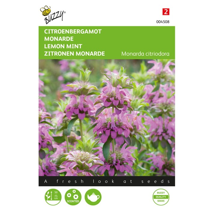 Monarda, Citroenbergamot