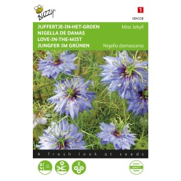Nigella, Juffertje-in-het-groen Miss Jekyll