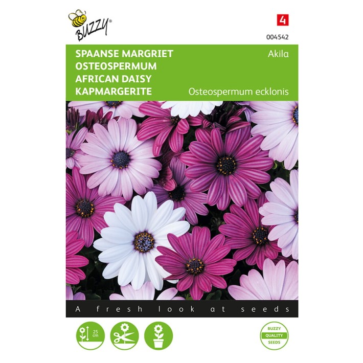 Buzzy® African Daisy - Akila mixed