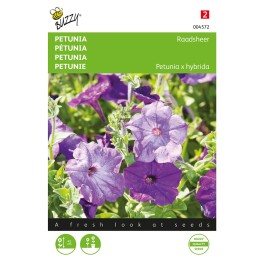 Petunia Raadsheer blauw
