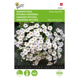 Hangpetunia, White Ramblin