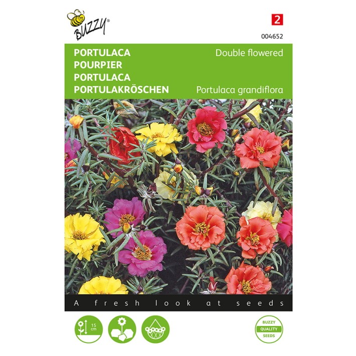 Portulaca dubbelbloemig gemengd