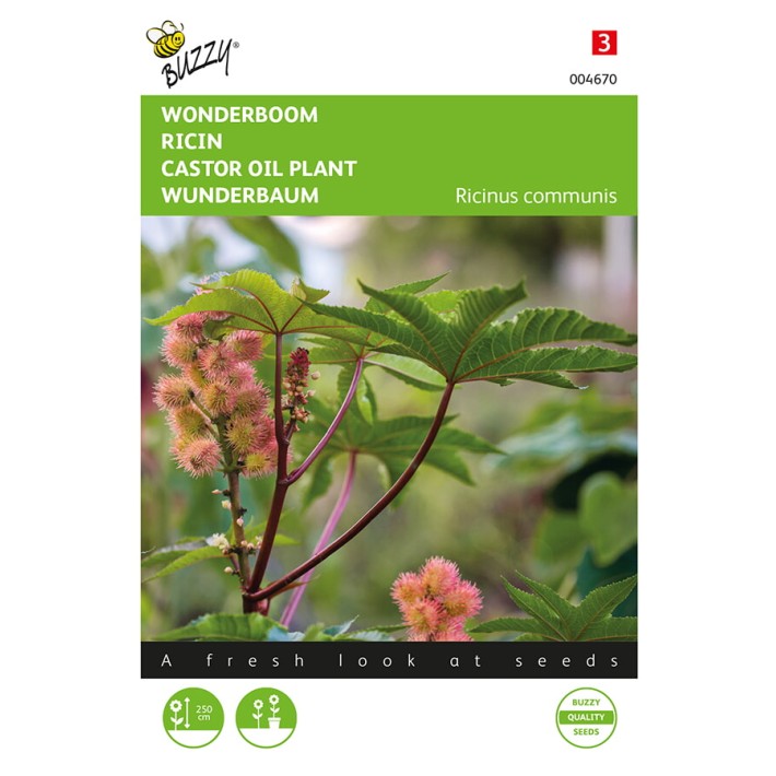 Ricinus, Wonderboom gemengd