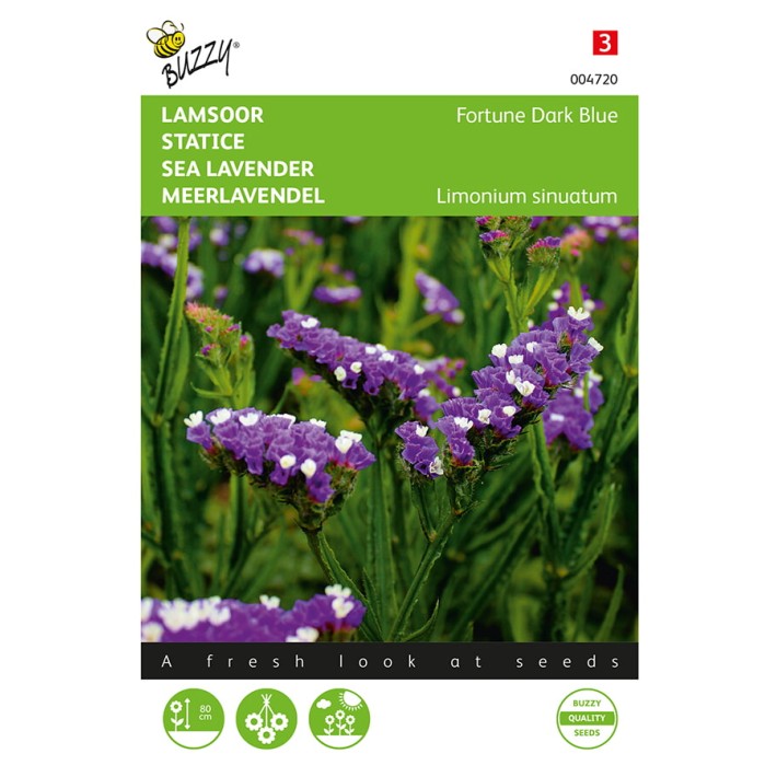 Lamsoor Fortune Dark Blue